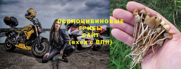 сатива Балахна