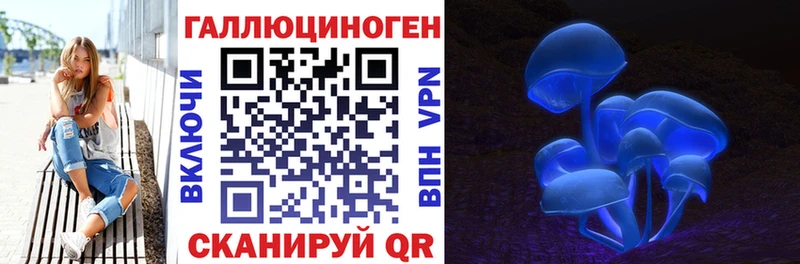Псилоцибиновые грибы Psilocybine cubensis Олонец